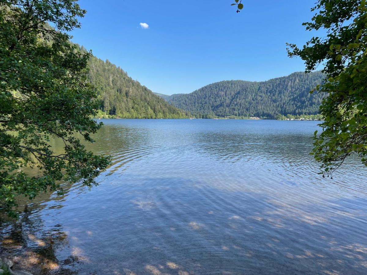 Le Chalet Blanc De Gerardmer Avec Spa Bagian luar foto